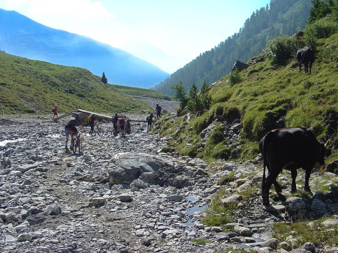 Begegnung in der Nähe der Alp Chöglias