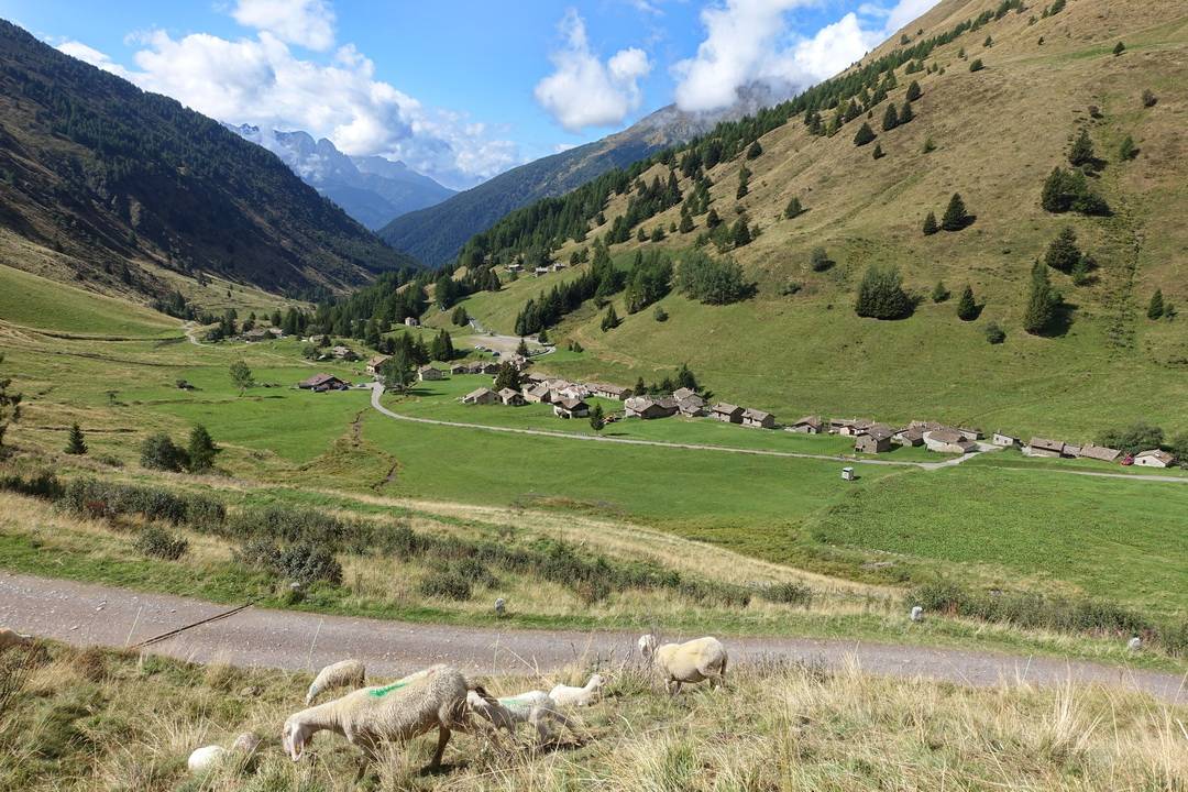 Valle di Viso