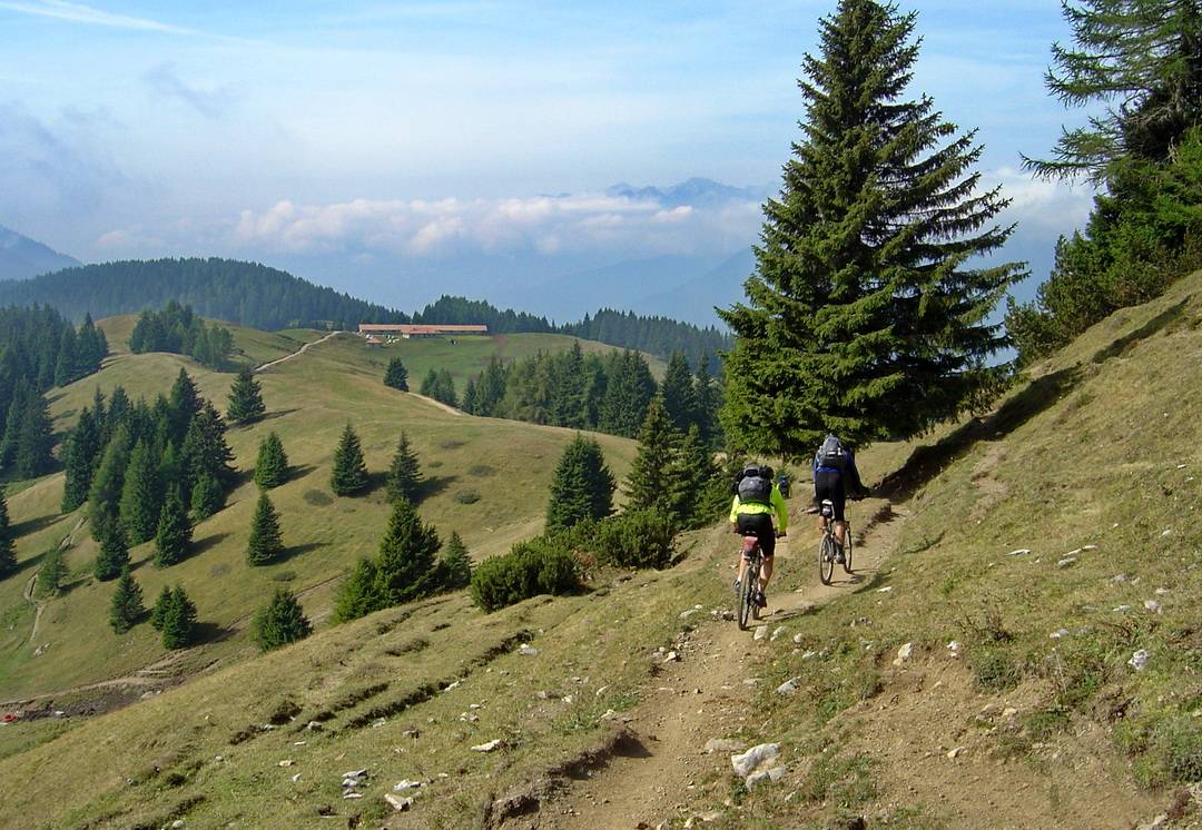 Trail vom Passo del Gotro zur Malga Movlina
