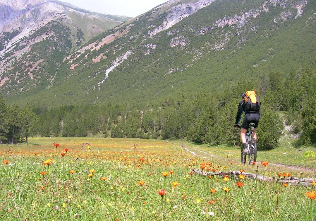 Idyllischer Wiesentrail im Val Mora
