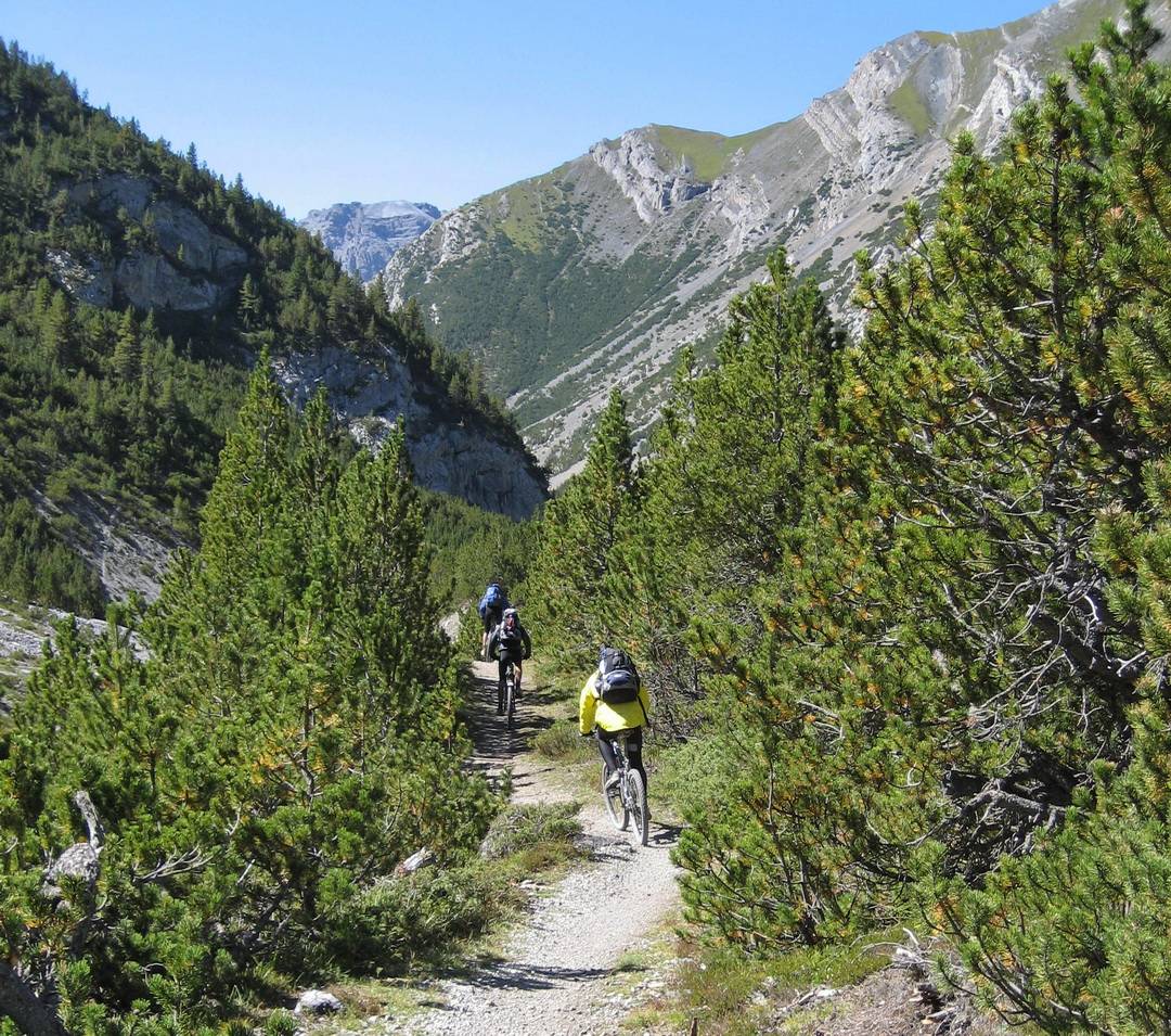 Trail Trail durch Krüppelkiefern im Val Mora