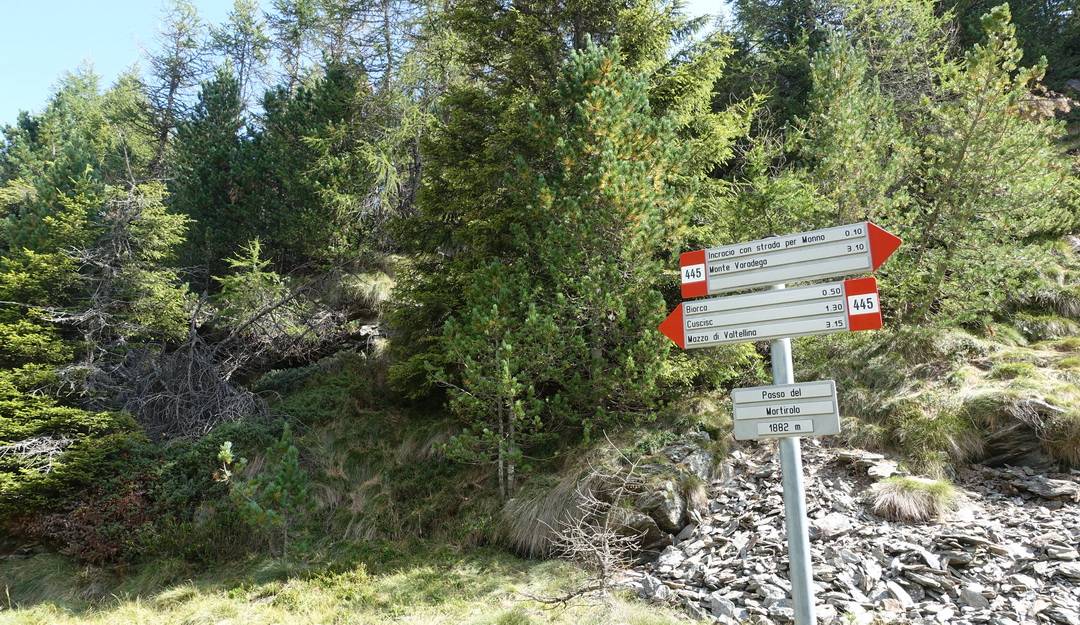 Passo del Mortirolo in echt