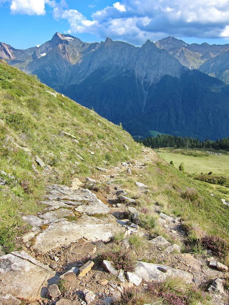 S2-Trail in der Nähe der Grubbergalm