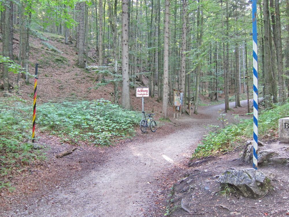 Grüne Grenze oberhalb des Gletscherschliffs