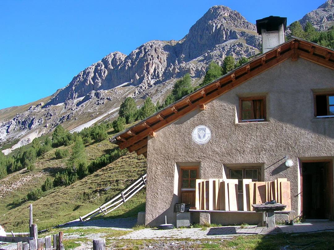 Alp Chauschauna