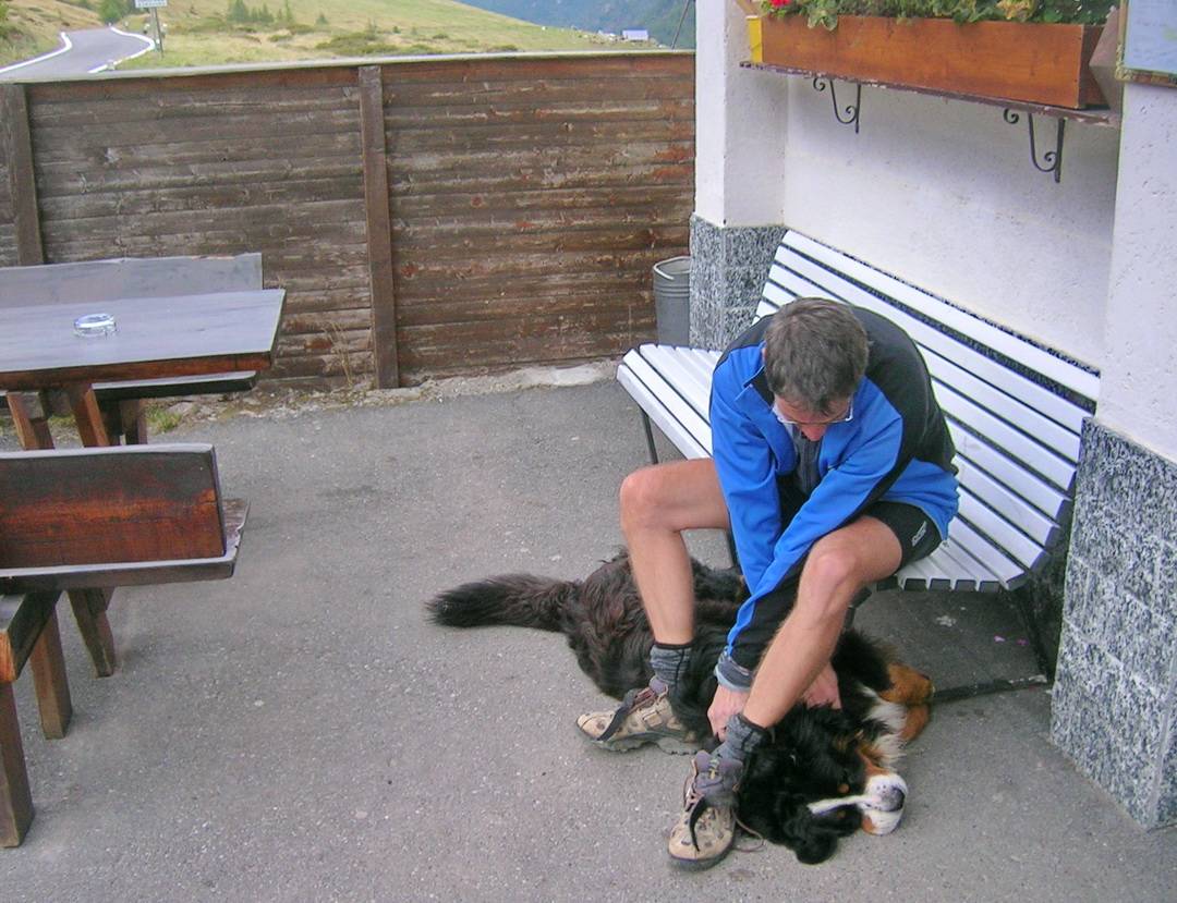 Hund