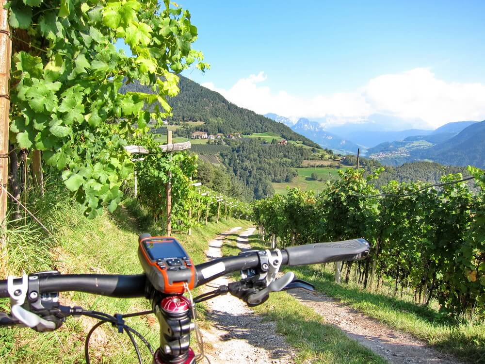 Durch die Weinberge