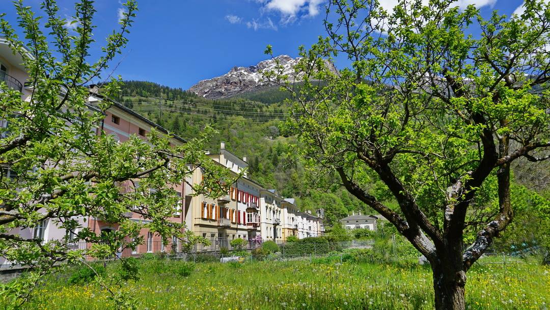 Poschiavo - Via di Palaz: auf der Gartenseite hinaus aus dem Ort