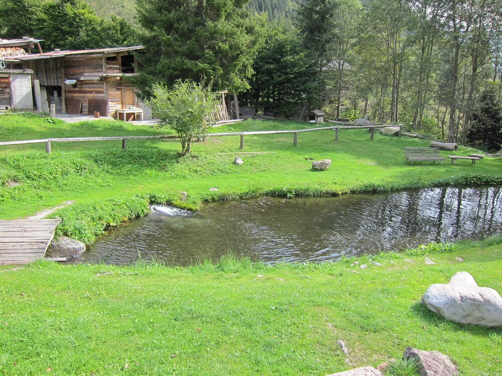Rifugio Refavaie: hauseigener Fischteich