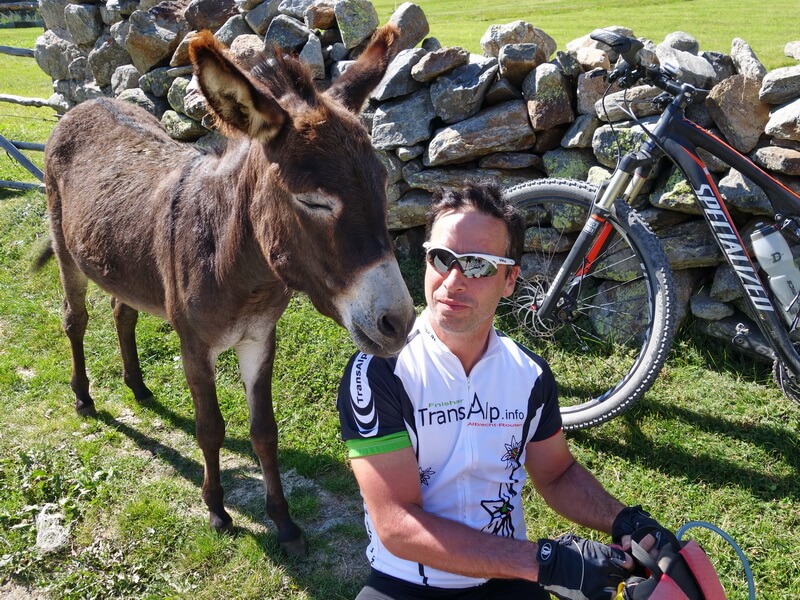 Irgendein ein Esel ist immer unterwegs auf der Albrecht-Route
