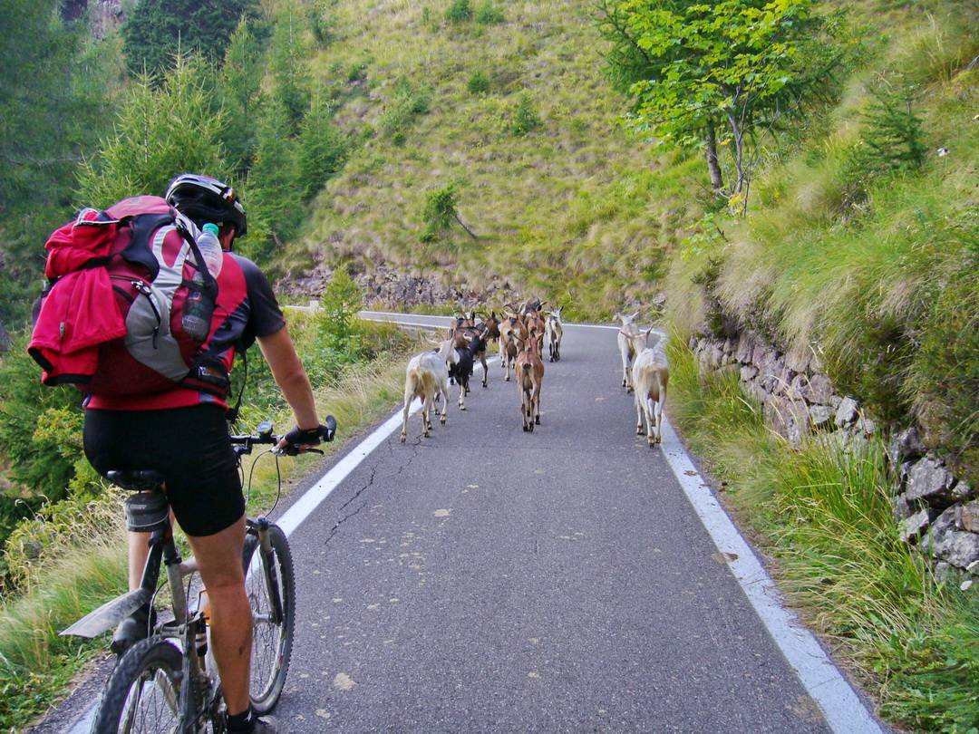Auffahrt von Schilpario zum Passo del Vivione