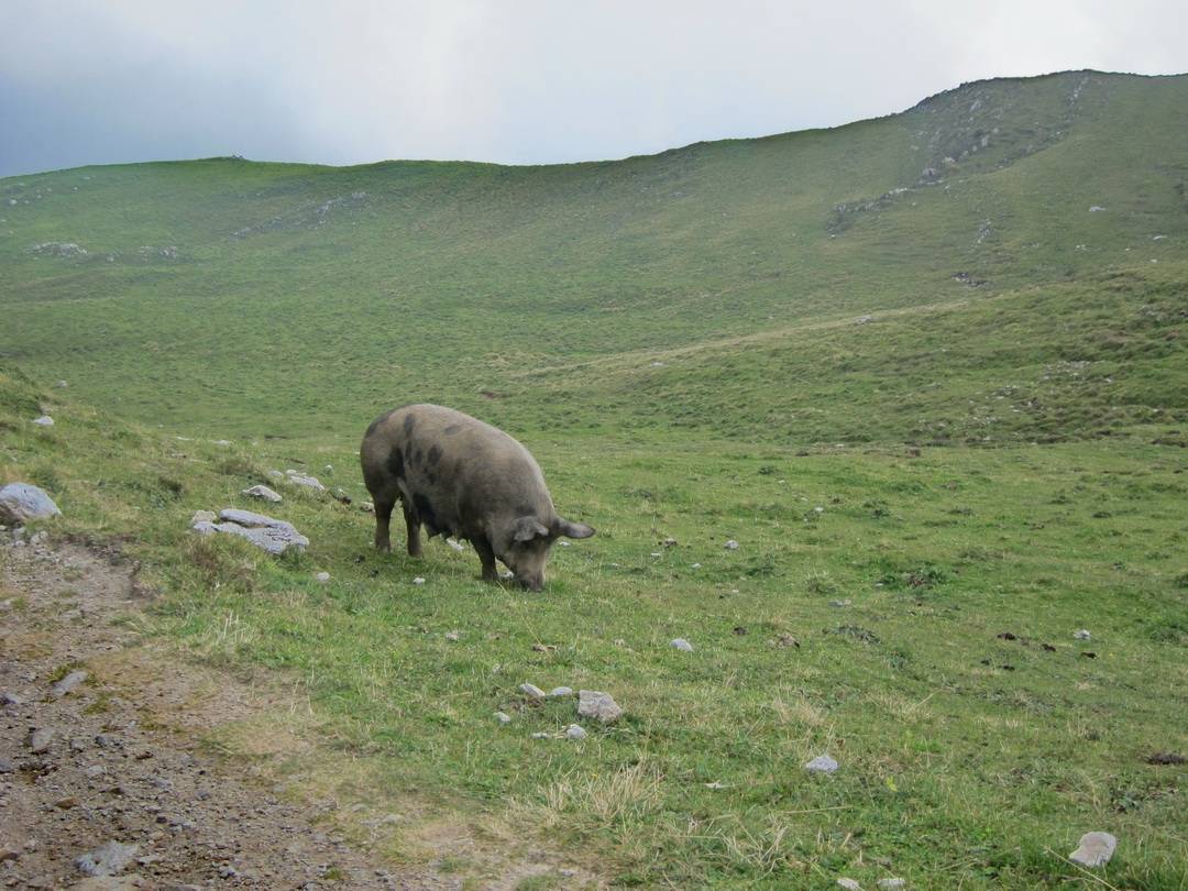 An der Malga Tombea