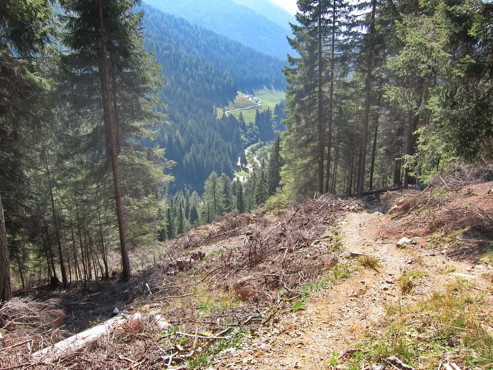 Trail ins Val Campelle: im Talgrund Ponte Conseria