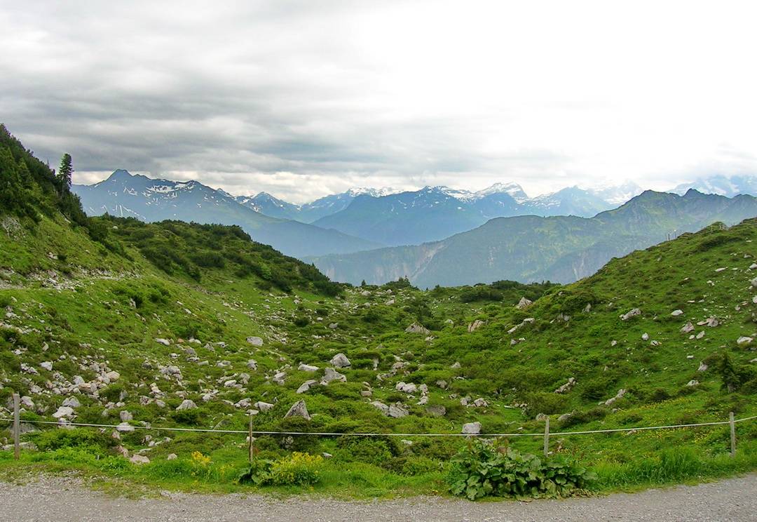Über das Rauhe Joch führt bis zu einer Almhütte ein leichter Schotterweg