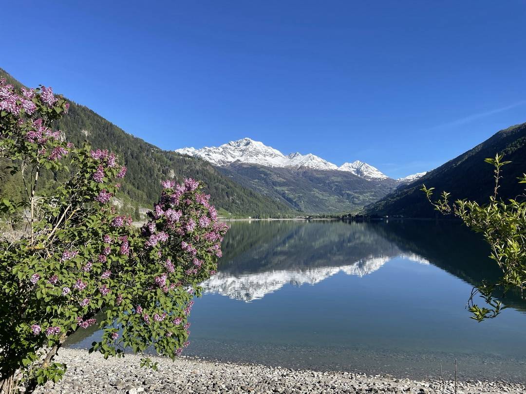 Blick zurück von Miralago über den Lago di Poschiavo zum Piz Varuna