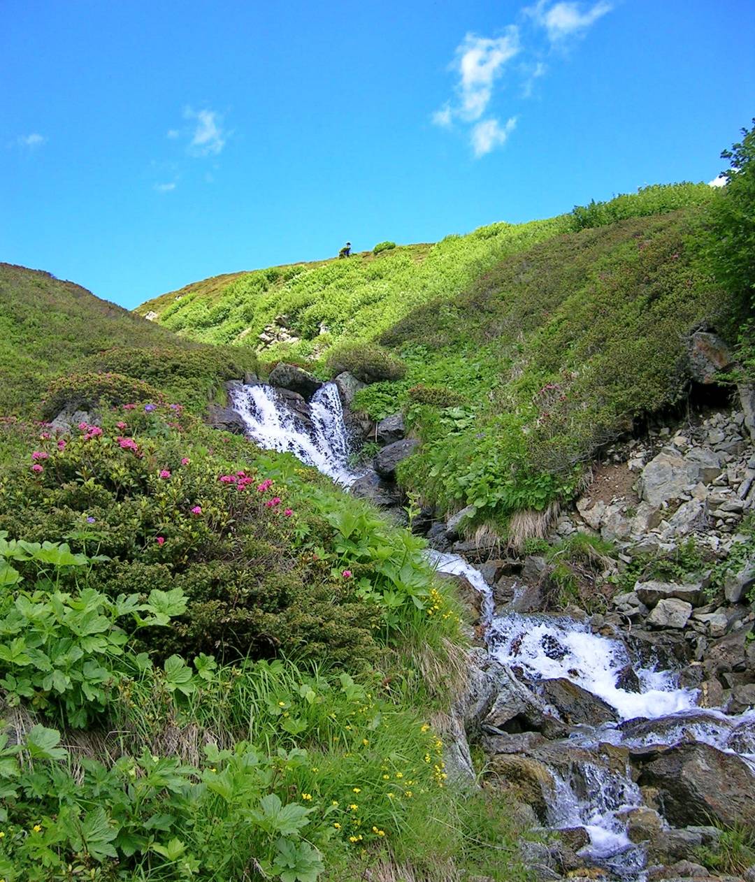 Bei der Wanderung bleibt Zeit, sich an den fröhlich murmelnden Bergbächen zu erfreuen