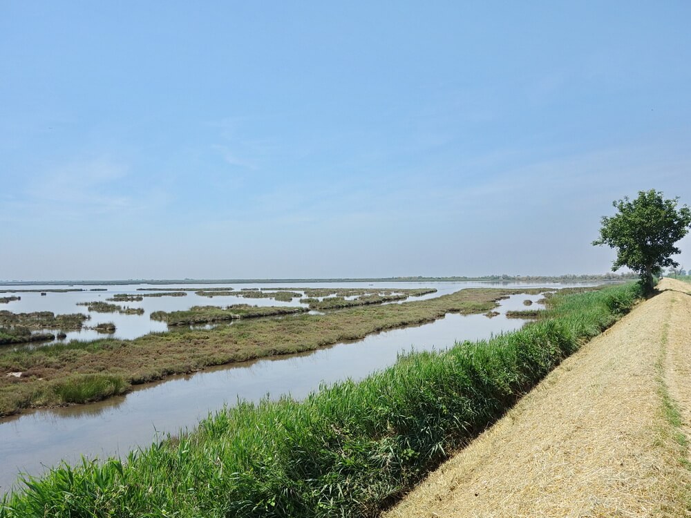 Lagune bei Portegrandi - im Sommerdunst Venedig