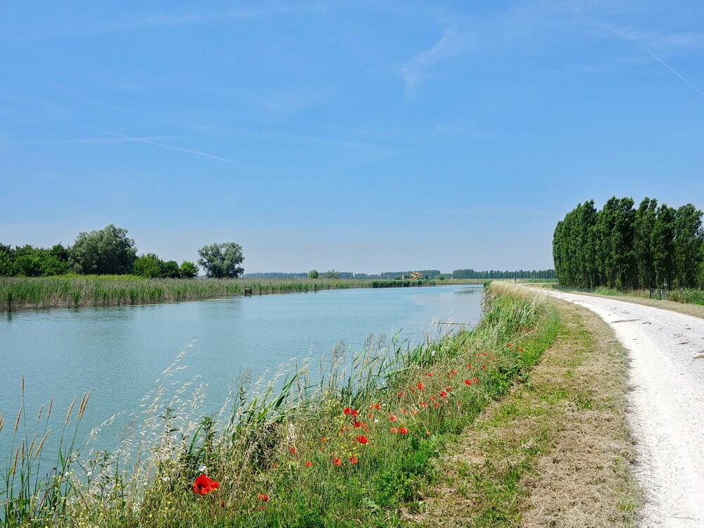 strada bianca