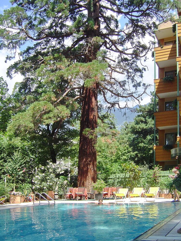 Hotel FLORA