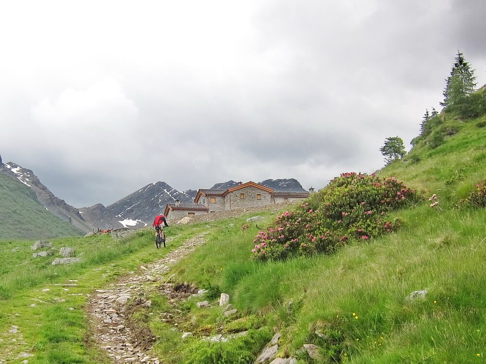 Alpe Piana