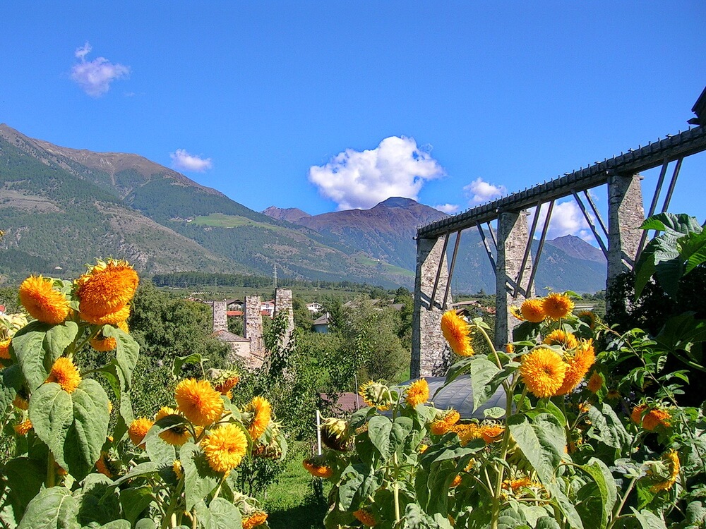 Vinschgau