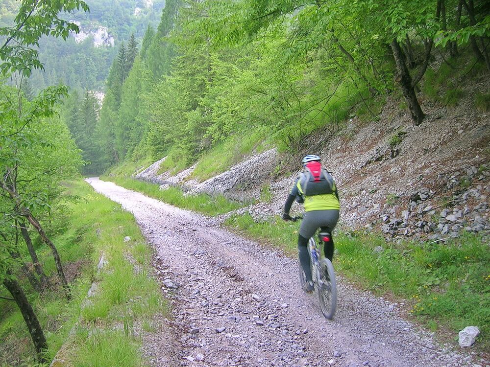 Am Margen noch frisch im Wald