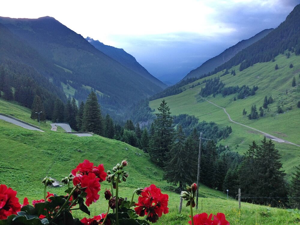 Abendstimmung