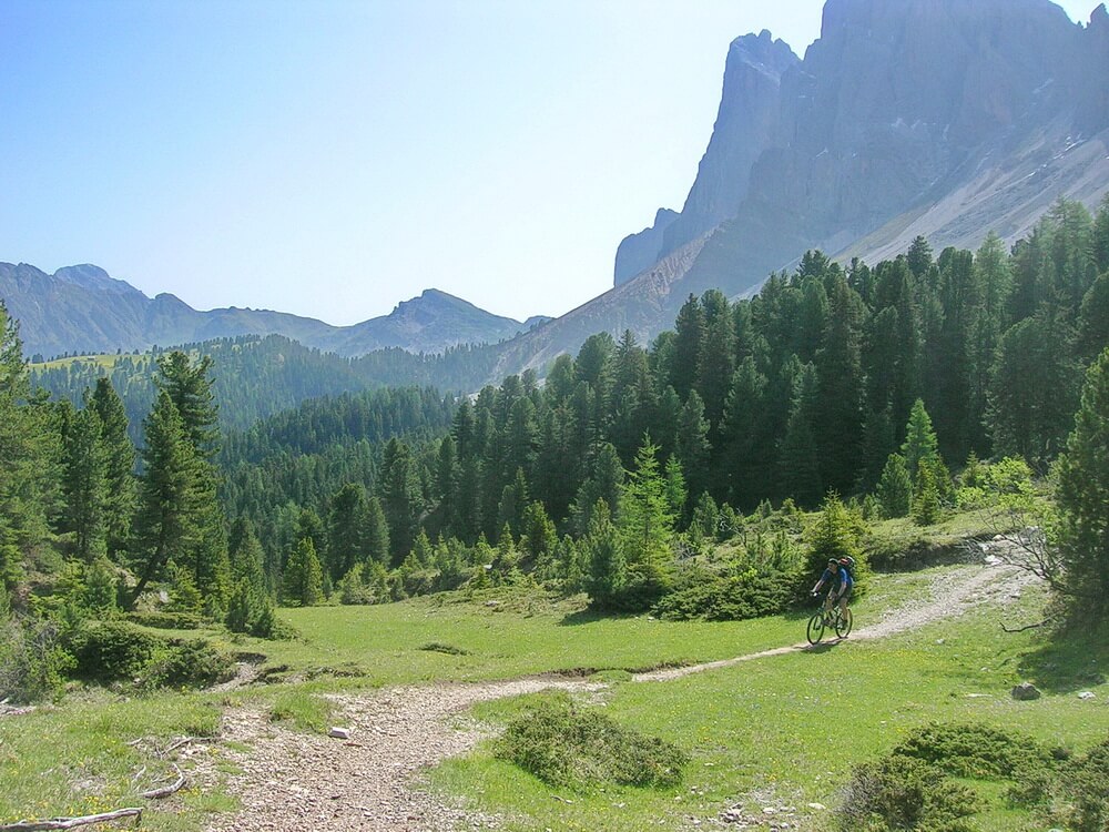 Auf dem Weg zur Brogles-Alm: mal Fahren