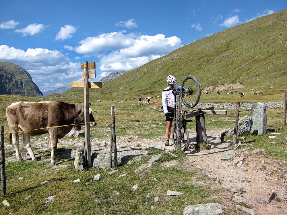 Schlinigpass