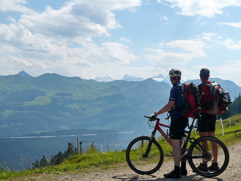 Blick in Richtung Hauptkamm am Müsliegg