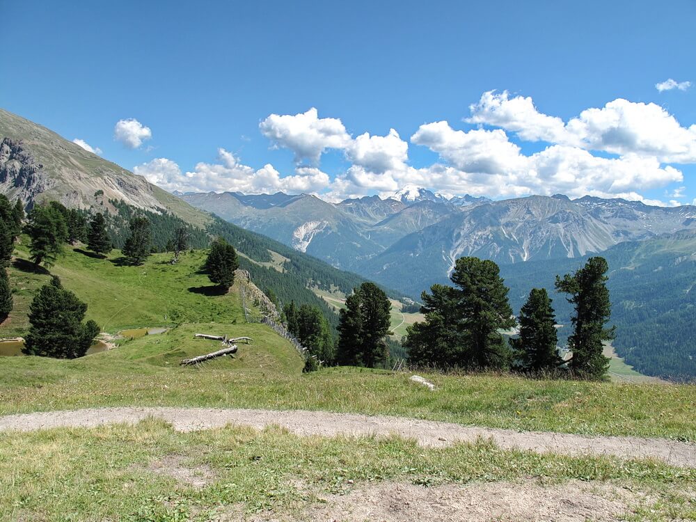 Blick zum Ortler