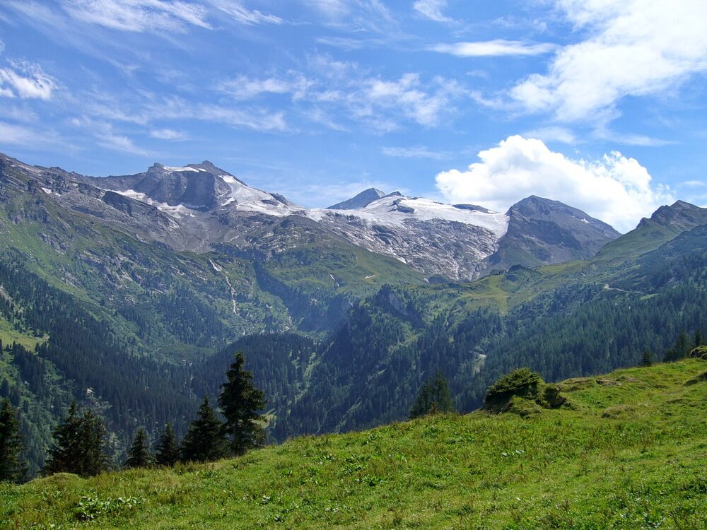 Auffahrt zur Sommerbergalm bei Bichlalm: Tuxer Gletscher - Olperer