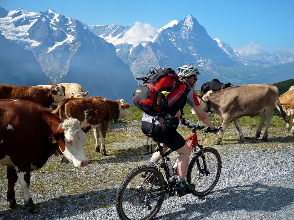 Die Aussicht wollen auch andere genießen!
