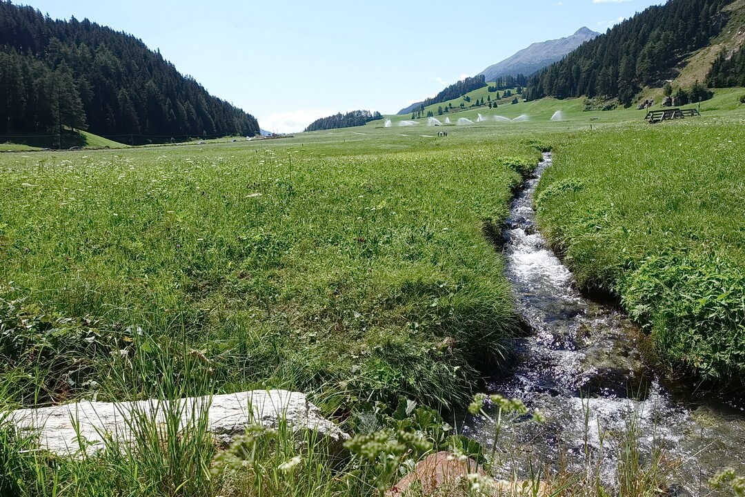 Der höchste Punkt auf dem Reschenweg (links neben den Wassersprengern) ist der eigentliche Reschenpass und nicht markiert. Dadurch wirkt er recht unspektakulär.