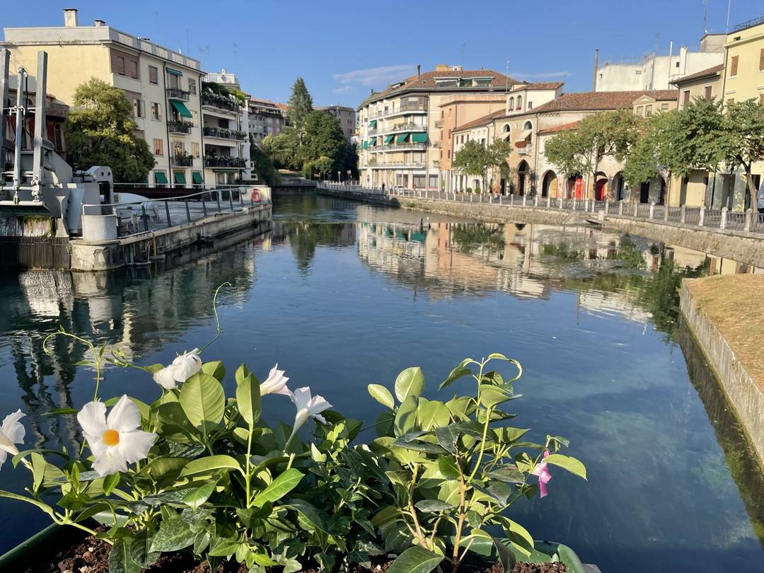 Treviso