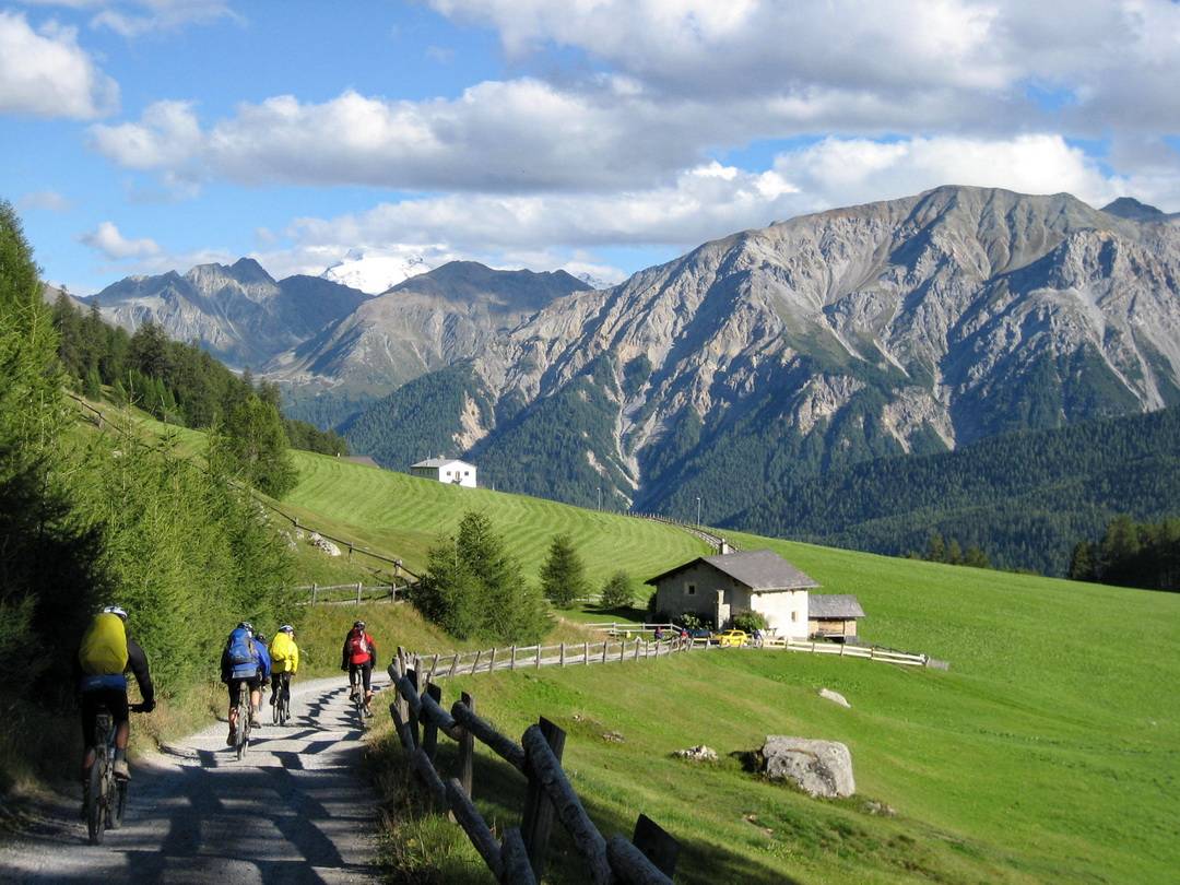 Lü mit Ortler
