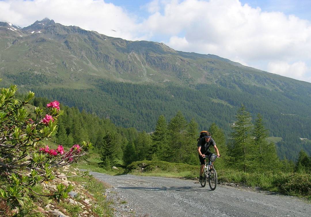 Auffahrt zum Passo di Verva - eines der wenigen etwas flacheren Stücke