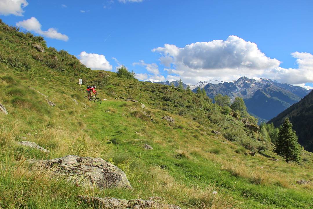 Pezzo Trail 2