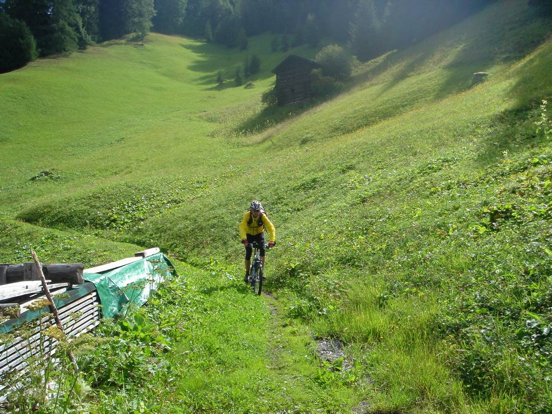 Wiesenpfad bei Frödenegg