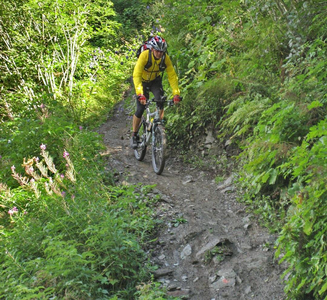 Trailabschnitt kurz nach dem Giggler Tobel in Richtung See