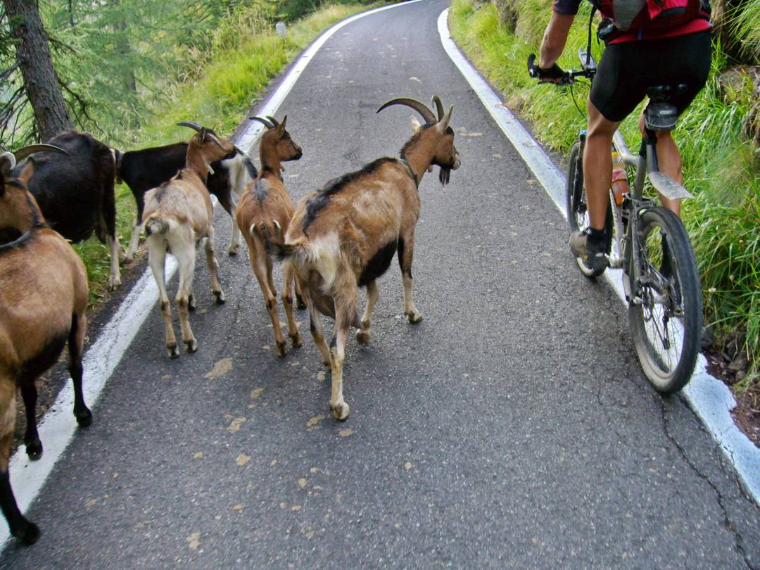 Auffahrt von Schilparion in Richtung Passo del Vivione
