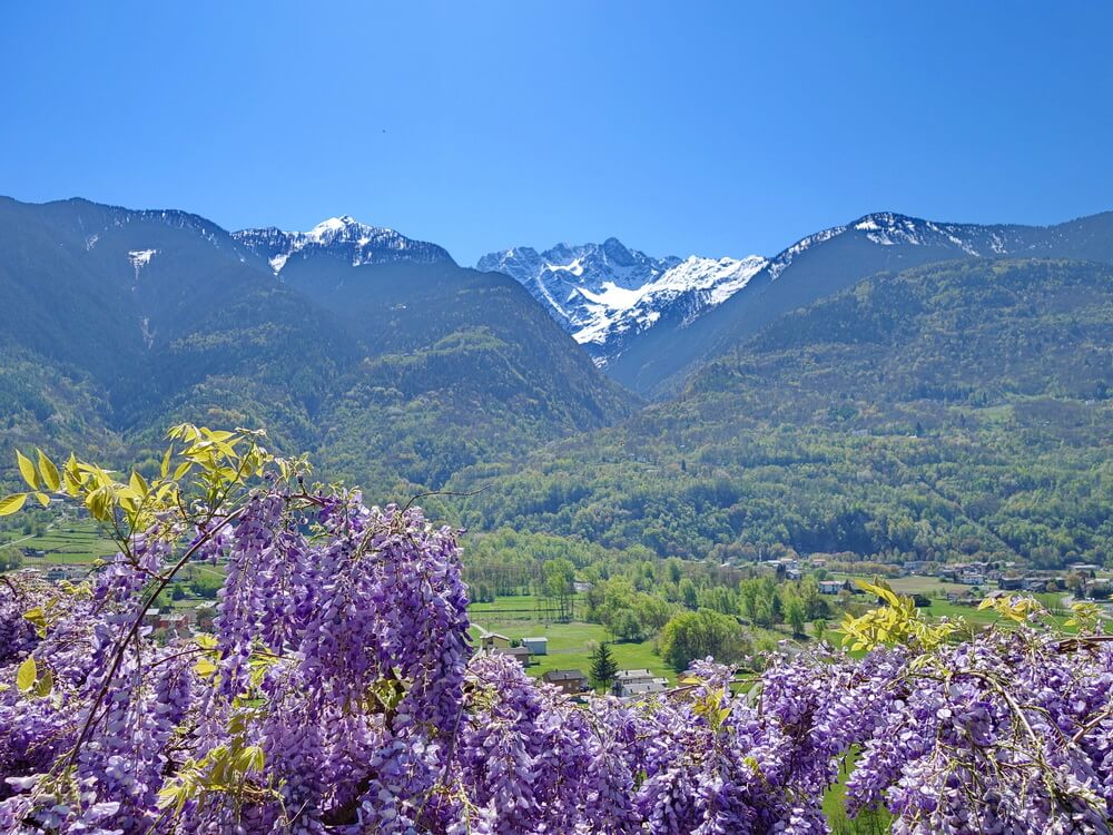 Zauberhaftes Valtellina