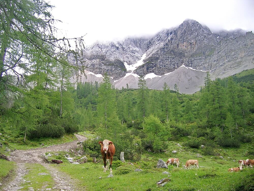 Gesellschaft auf dem Weg zum Lamsenjoch