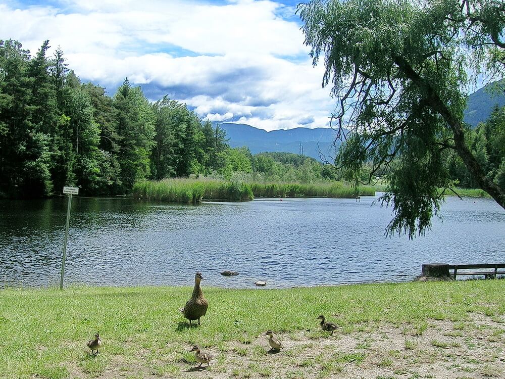 Vahrner See