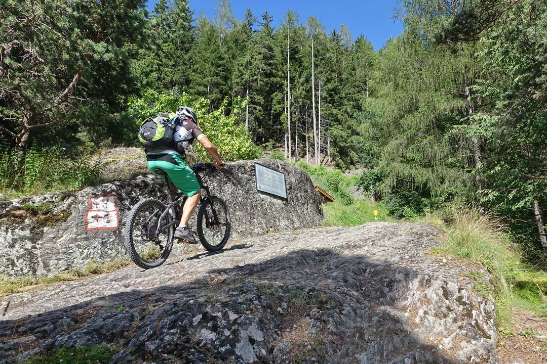 Fliesser Platte