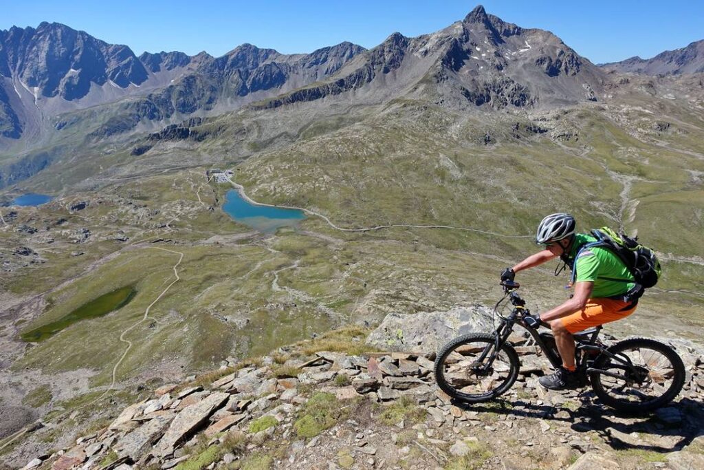 Gavia Belvedere