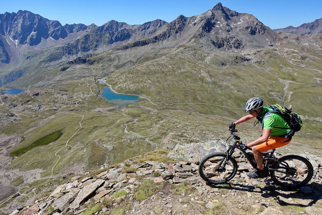 Gavia Belvedere 