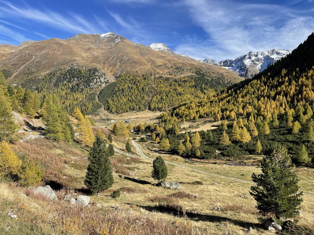 alte Passstraße zur Forcola di Livigno