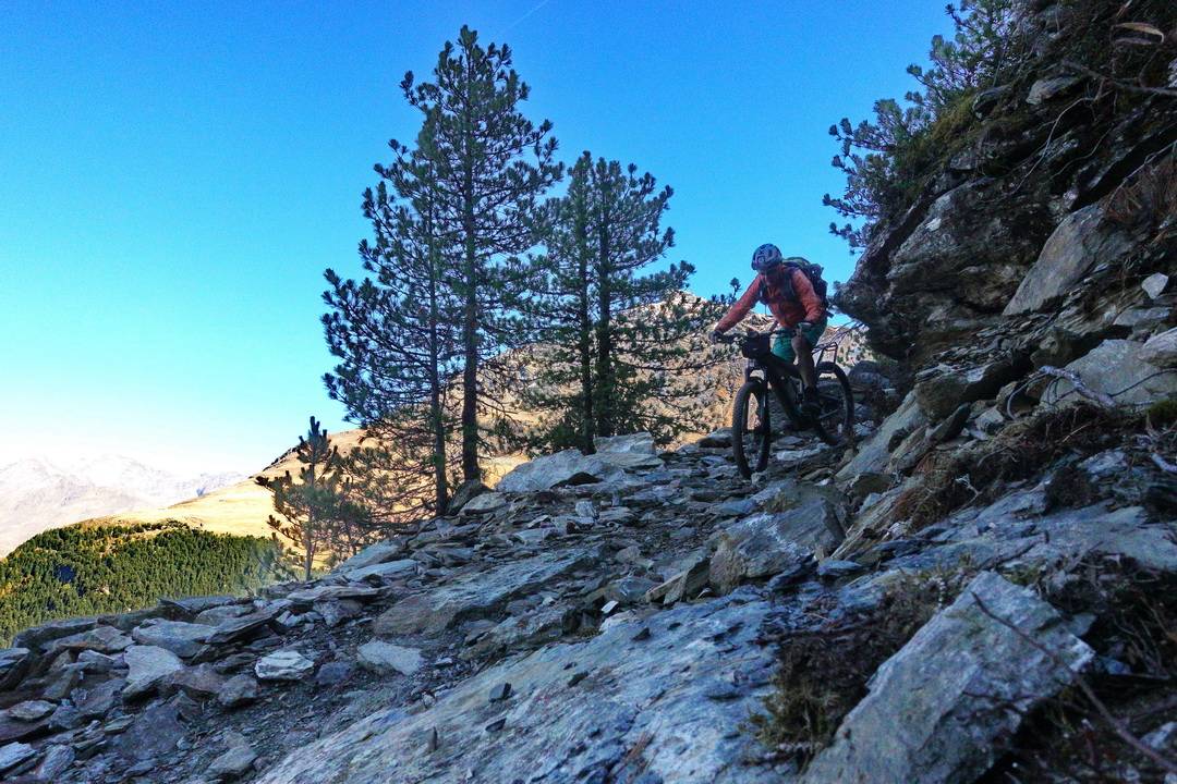 Trail