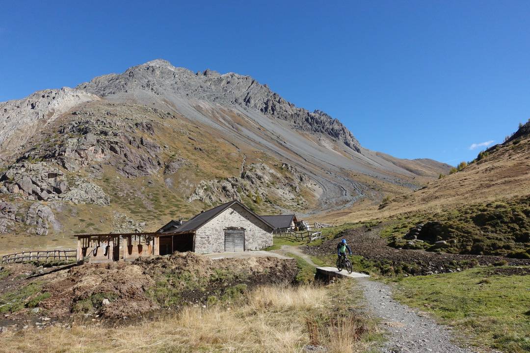 Malga Trela